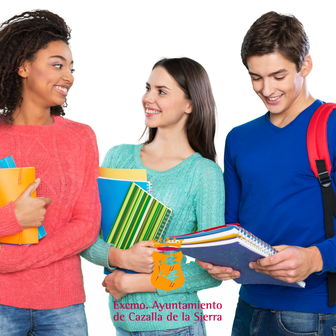 Convocatoria de ingreso en las Residencias de estudiantes de los complejos educativos de la Diputación de Sevilla y en la residencia de Sevilla Activa para el curso 21/22.