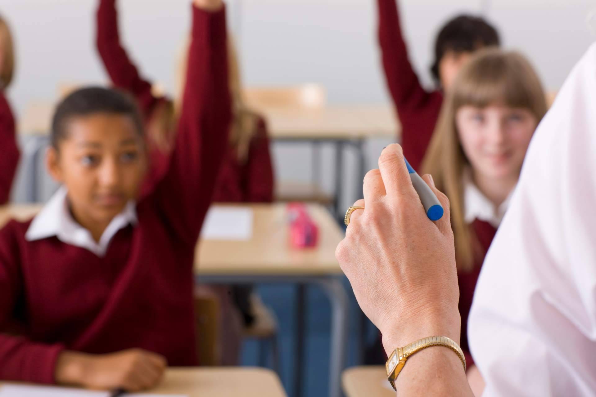 LT Distribuidora cuenta con distintos servicios para la campaña escolar
