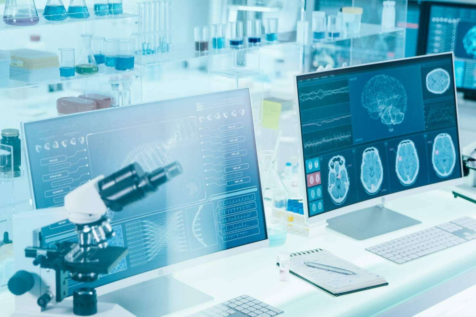 Qué ofrece el Máster en Neurociencia de ANE International