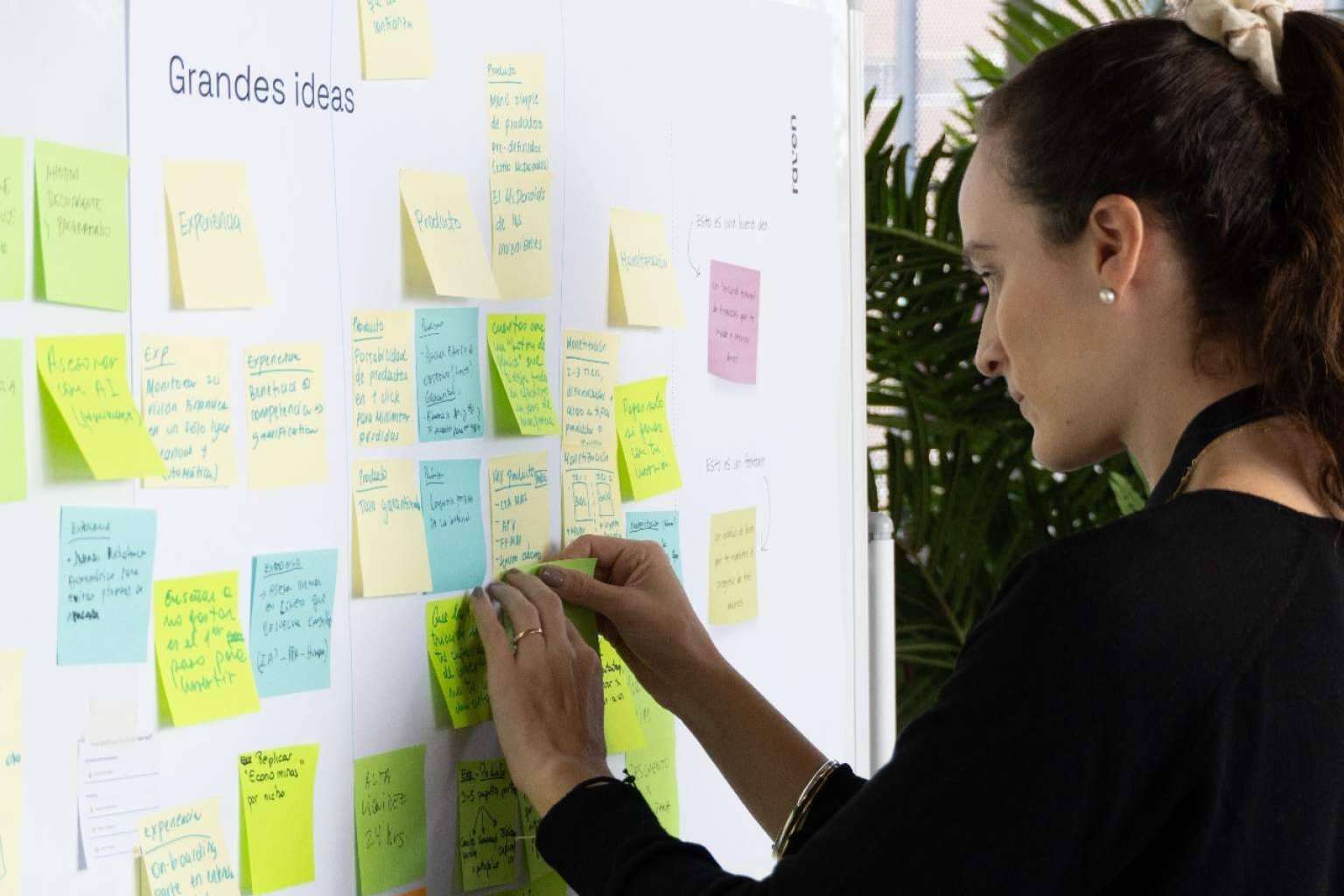 Especialistas en business design, Raven