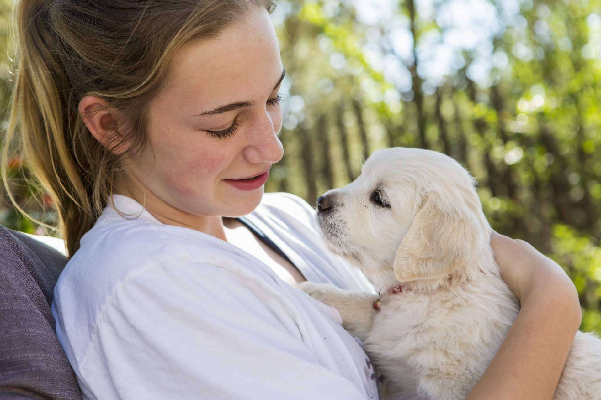 Mascotas para adoptar gratis, en Mascotasadopcion.com