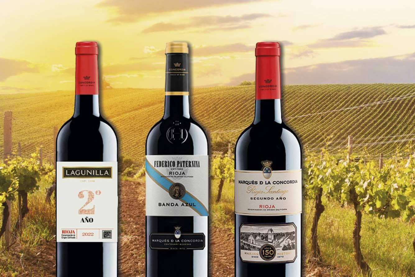 Conocer los vinos de segundo año de Marqués de la Concordia Family of Wines