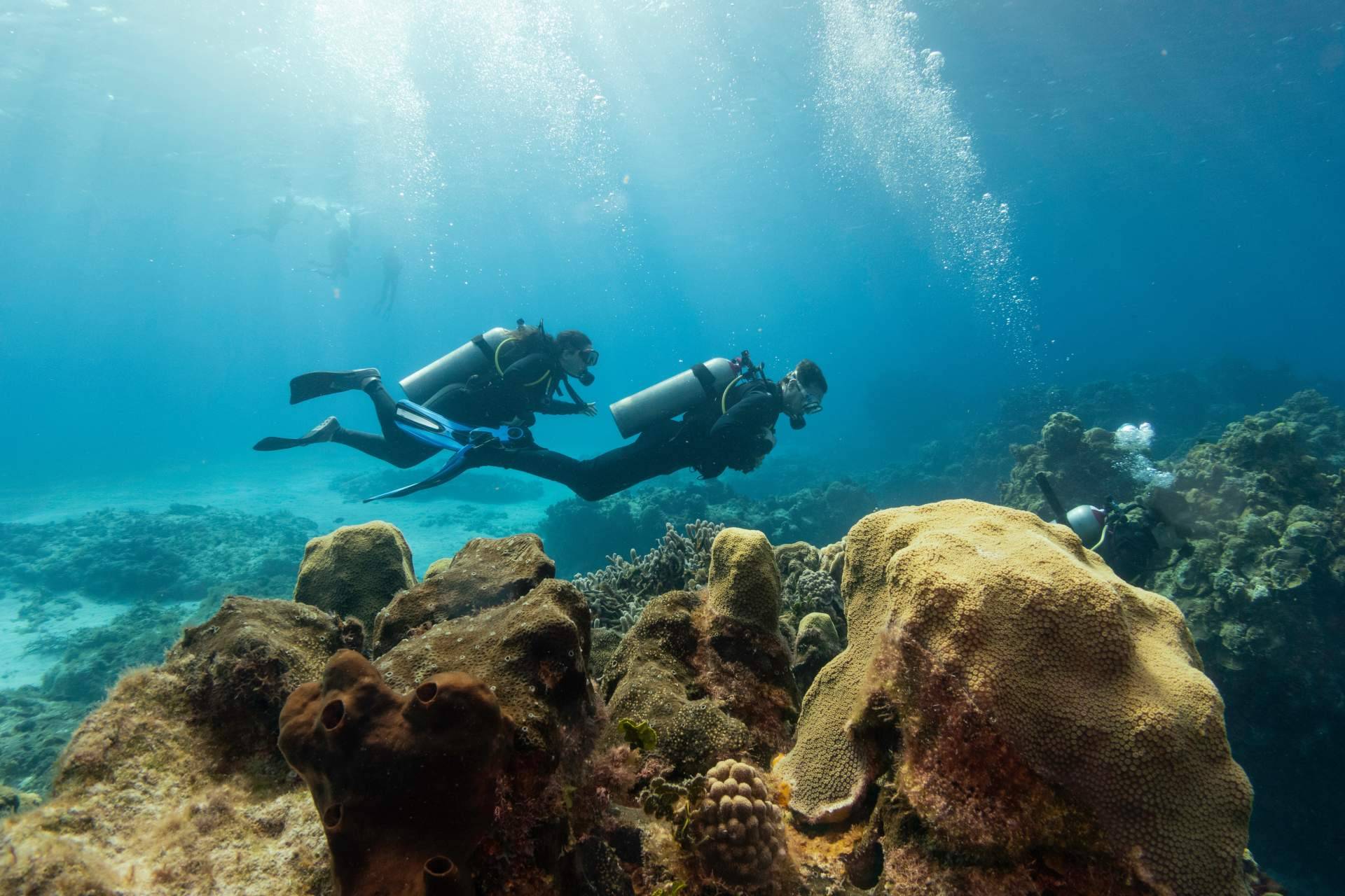 Curso instructor de buceo PADI, con la dirección de Miguel Coll