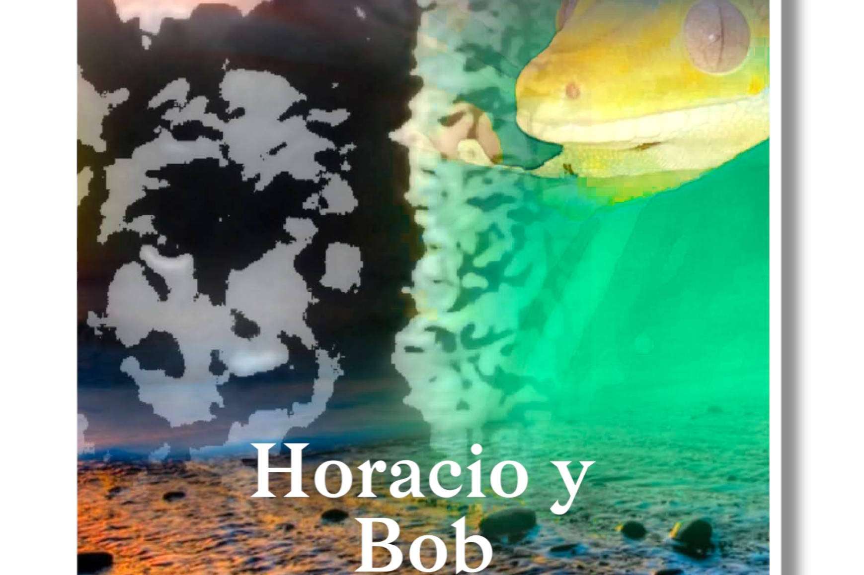 En Horacio y Bob siguen apostando por la calidad de las camisetas y sudaderas