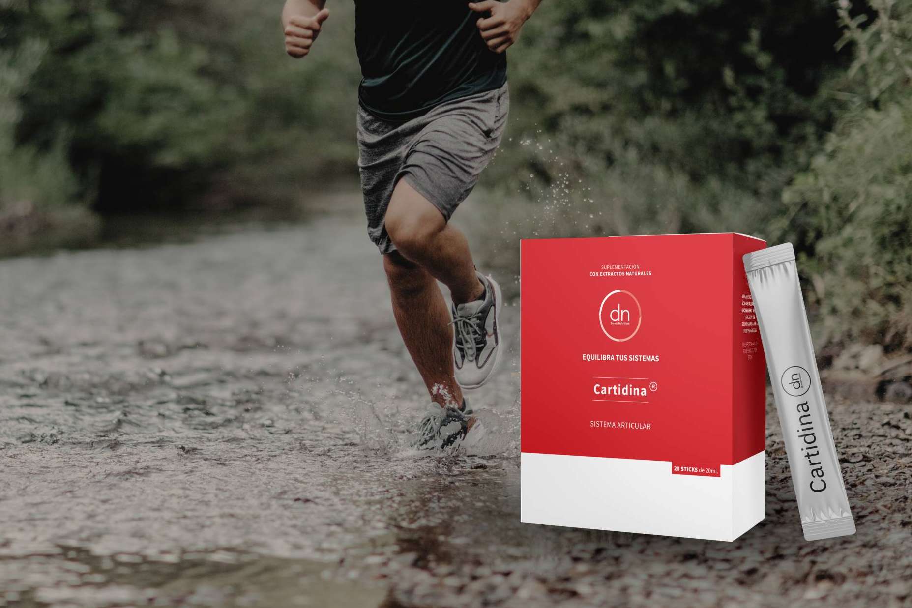 El suplemento Cartidina, de Direct Nutrition, ofrece una fórmula eficaz en la regenación del cartílago articular