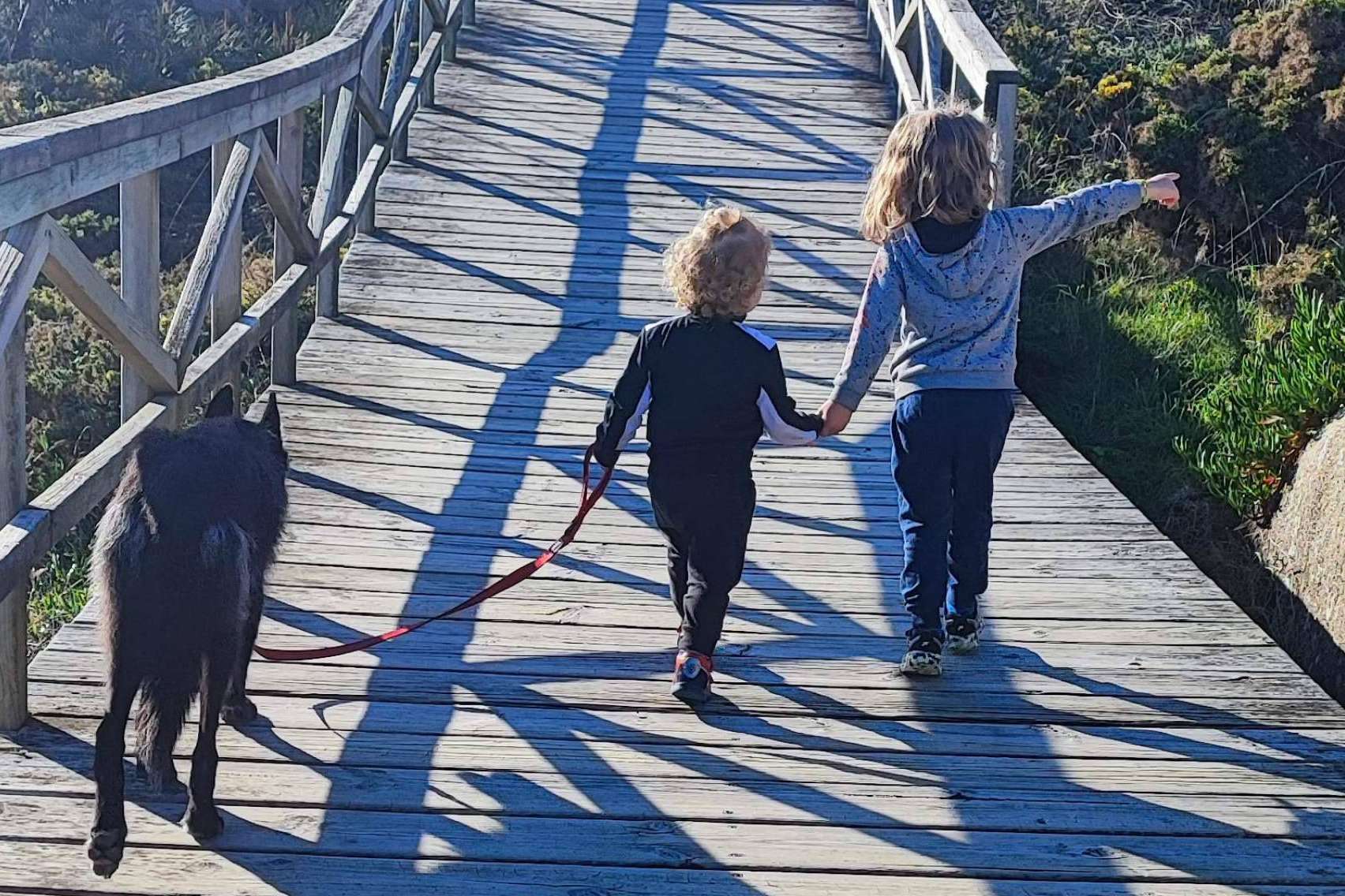 En 'ParaMascotas' creen que el peludo merece ser el más feliz del mundo
