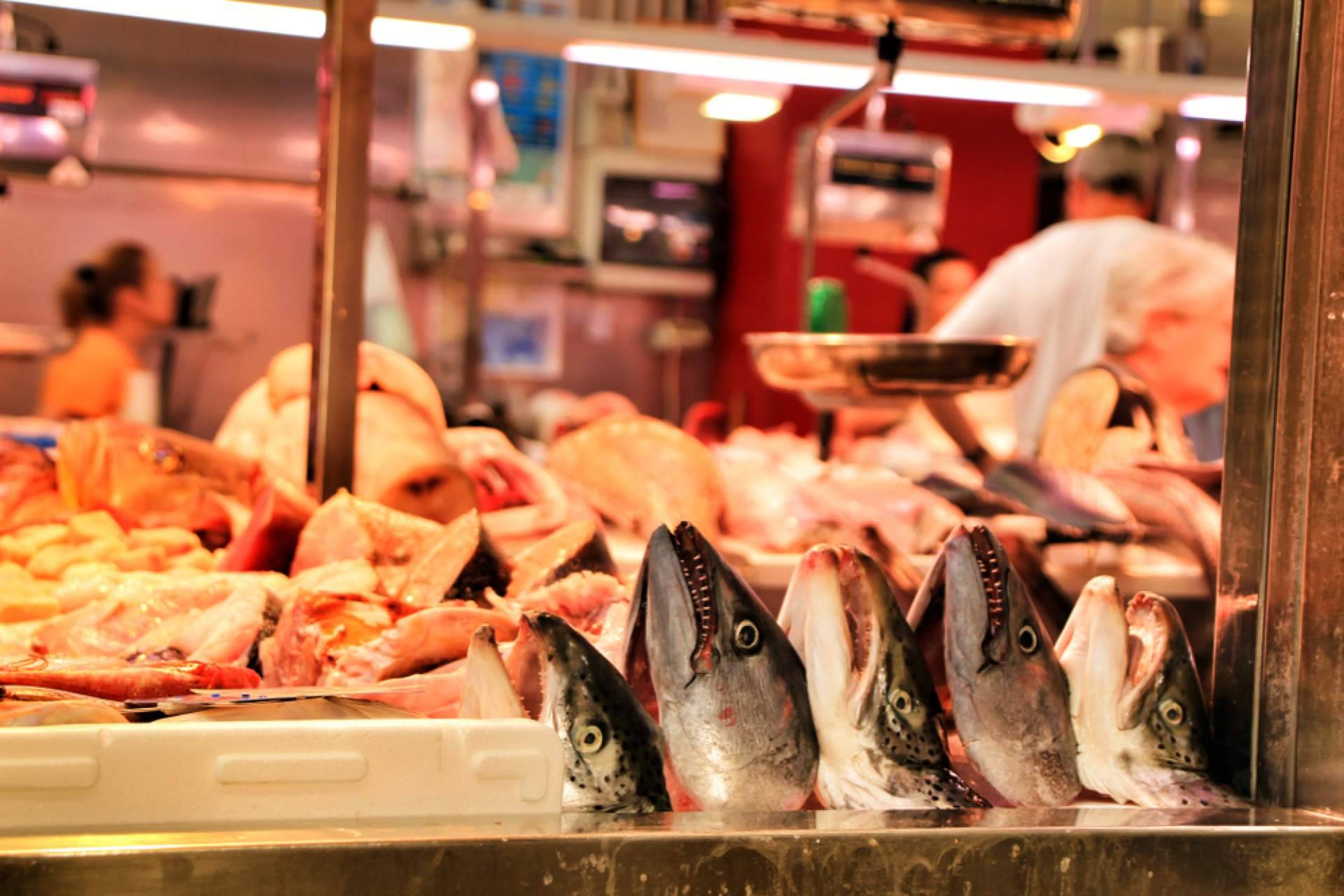 Pescadería Younes Ceuta, una referencia de frescura y calidad en productos del mar