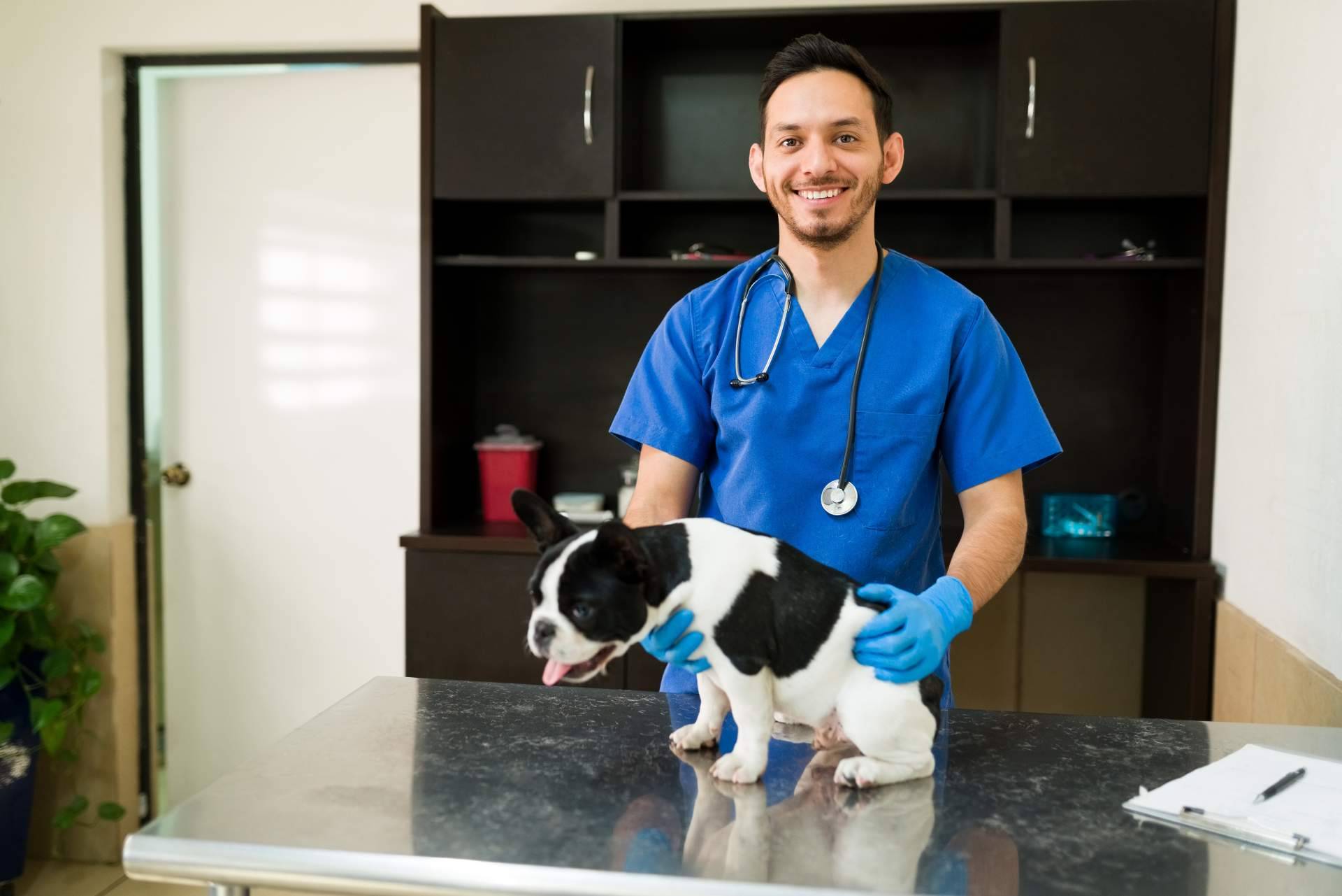 Formación asequible para veterinarios
