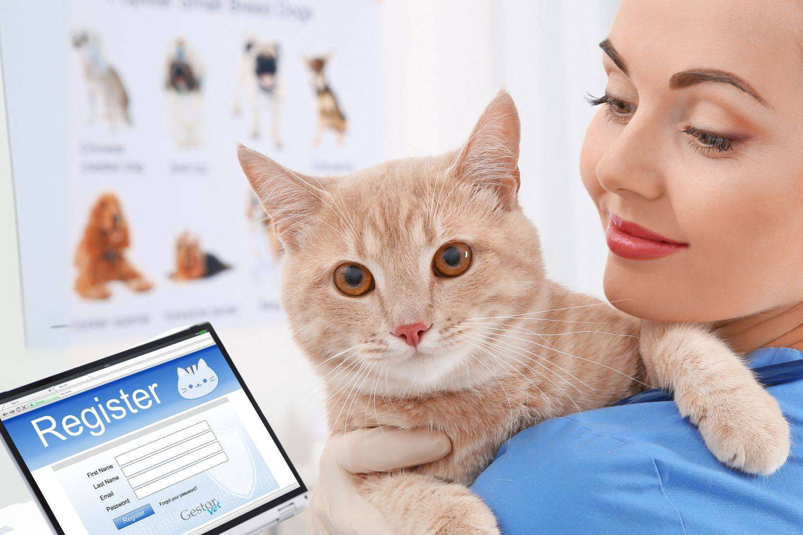 La revolución digital en las clínicas veterinarias; impulsando la gestión de la información
