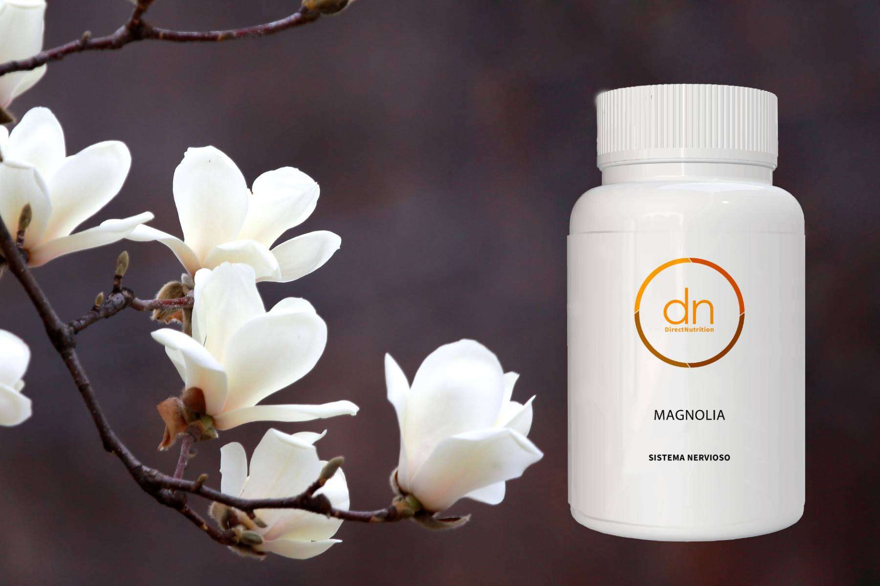 Direct Nutrition y los efectos de la magnolia; una fórmula eficaz para reducir el estrés y mejorar el sueño