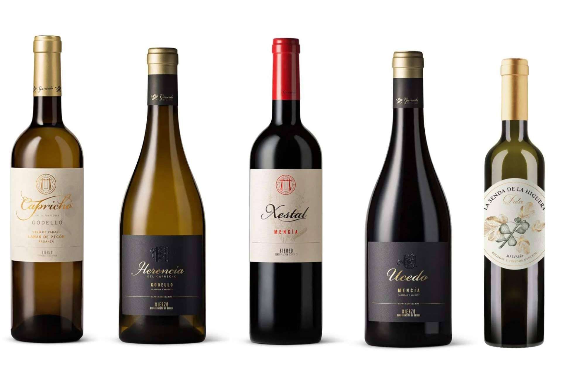 En Navidad El Bierzo se sienta a la mesa, Gancedo