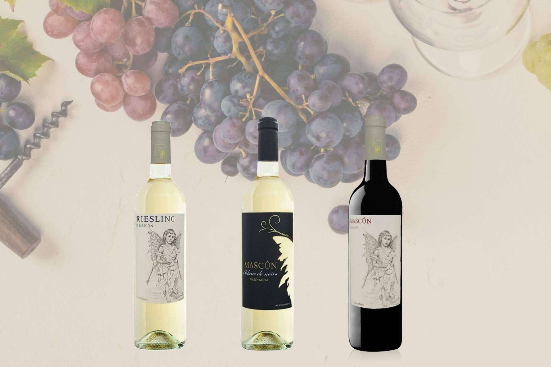 Somontano en Navidad; Los Vinos de Bodegas Osca, el acompañamiento perfecto para las celebraciones