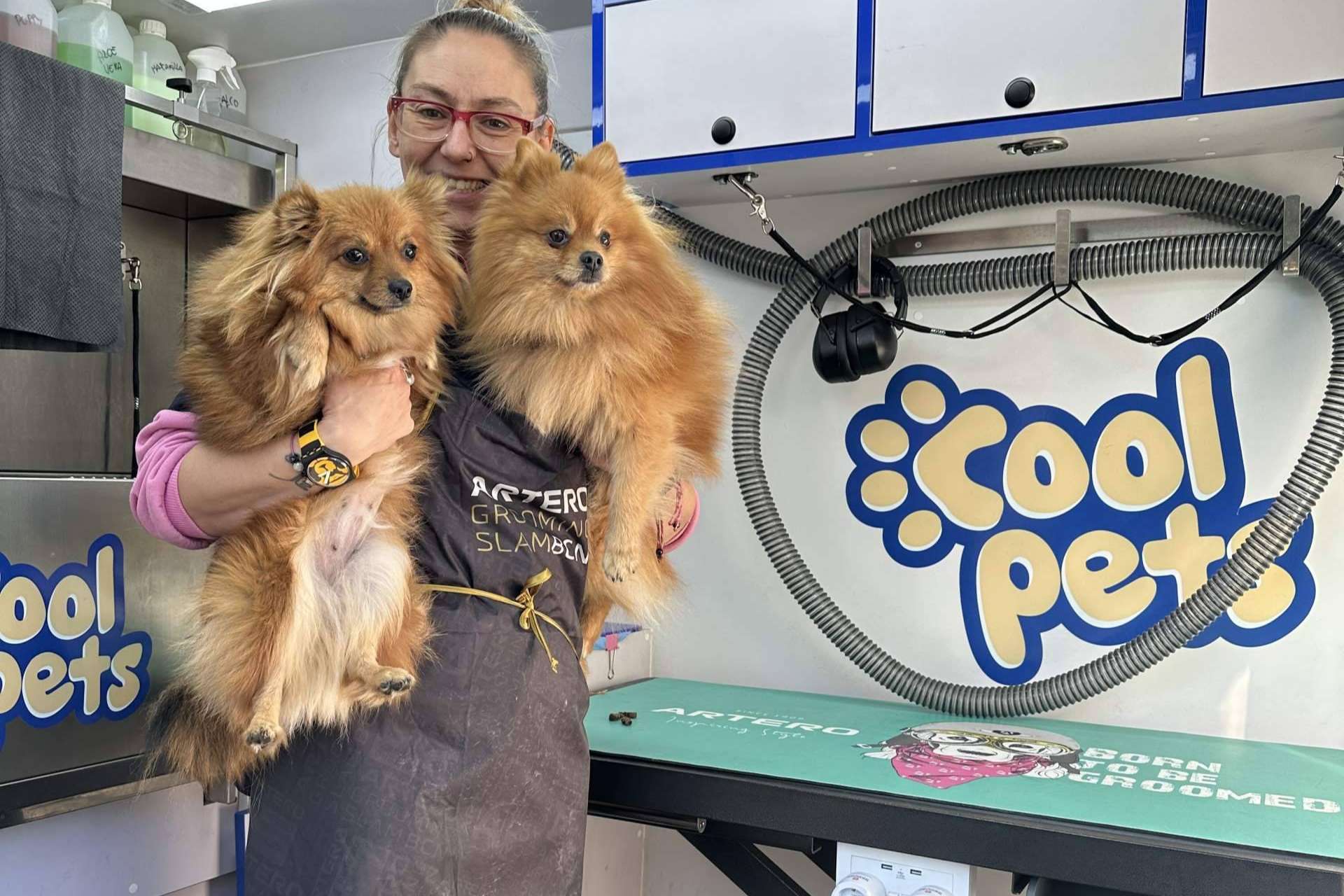 COOL PETS; La solución definitiva para el aseo e higiene de la mascota