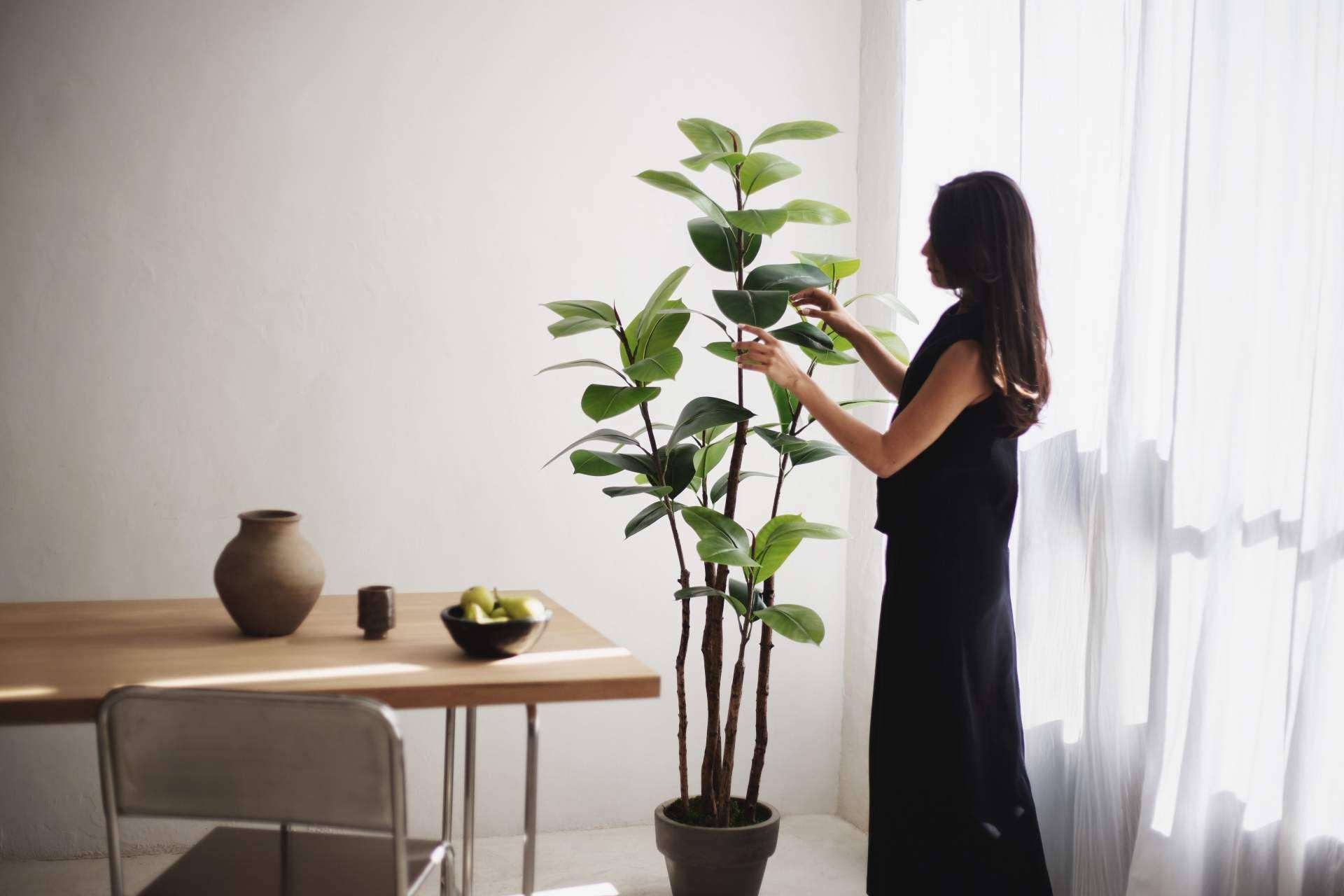 MAIA SHOP; El secreto mejor guardado de la decoración premium ya tiene nombre