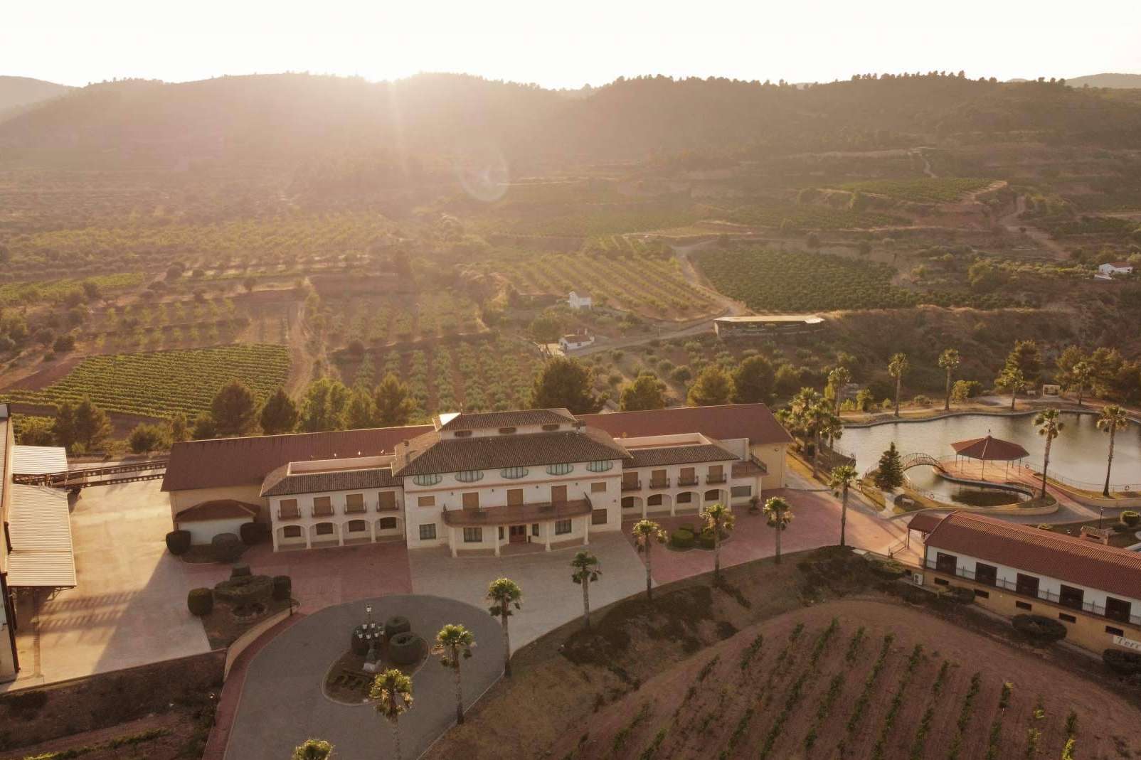 Vegamar refuerza su legado vinícola en el Alto Turia con vinos gourmet de esencia moderna