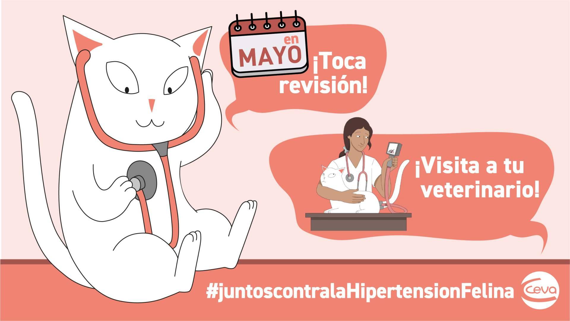 Una campaña de Ceva Salud Animal moviliza sobre la hipertensión felina
