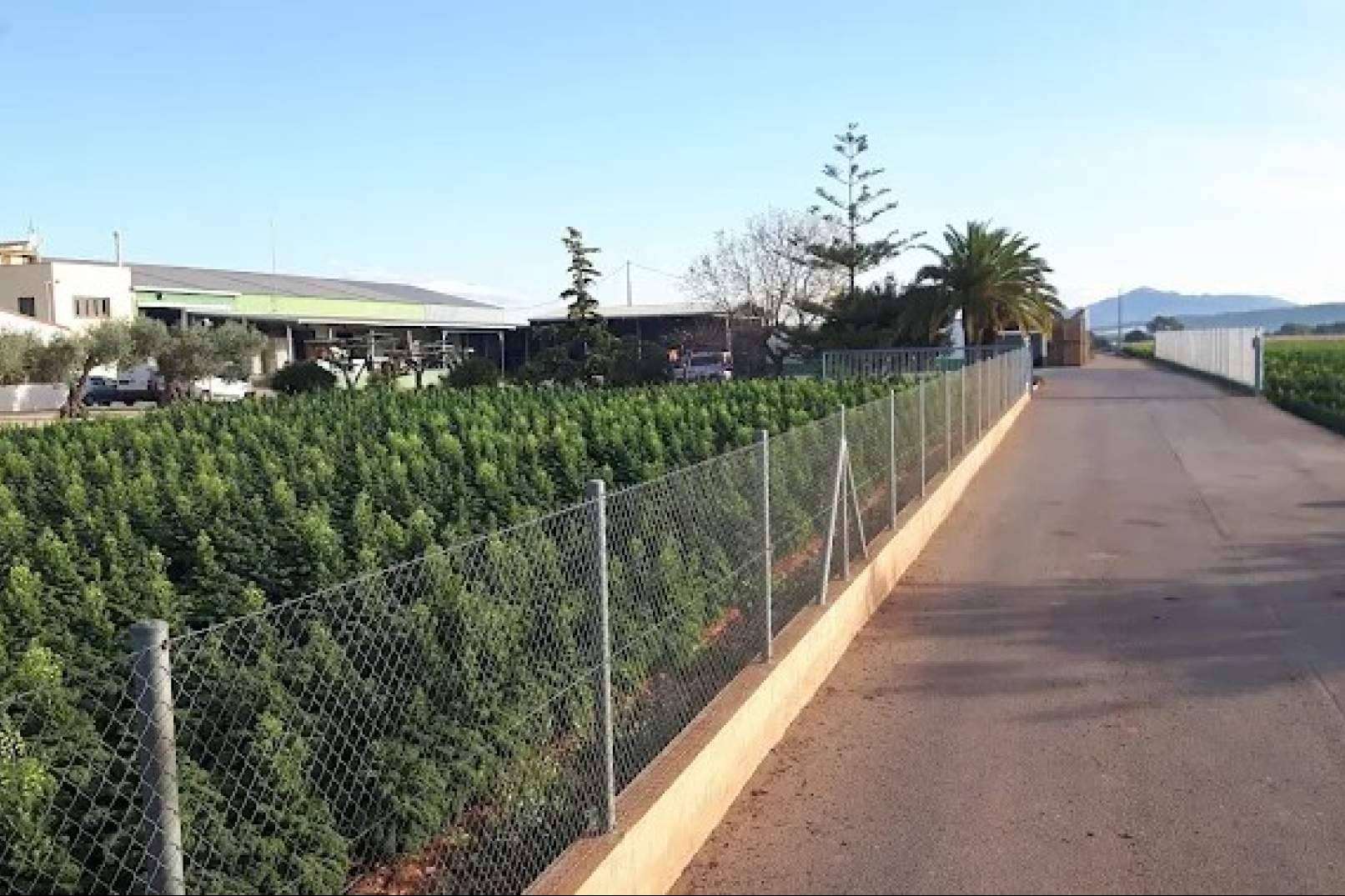 A subasta una Unidad Productiva del sector agroalimentario en Benicarló valorada en más de 1.3 millones de euros