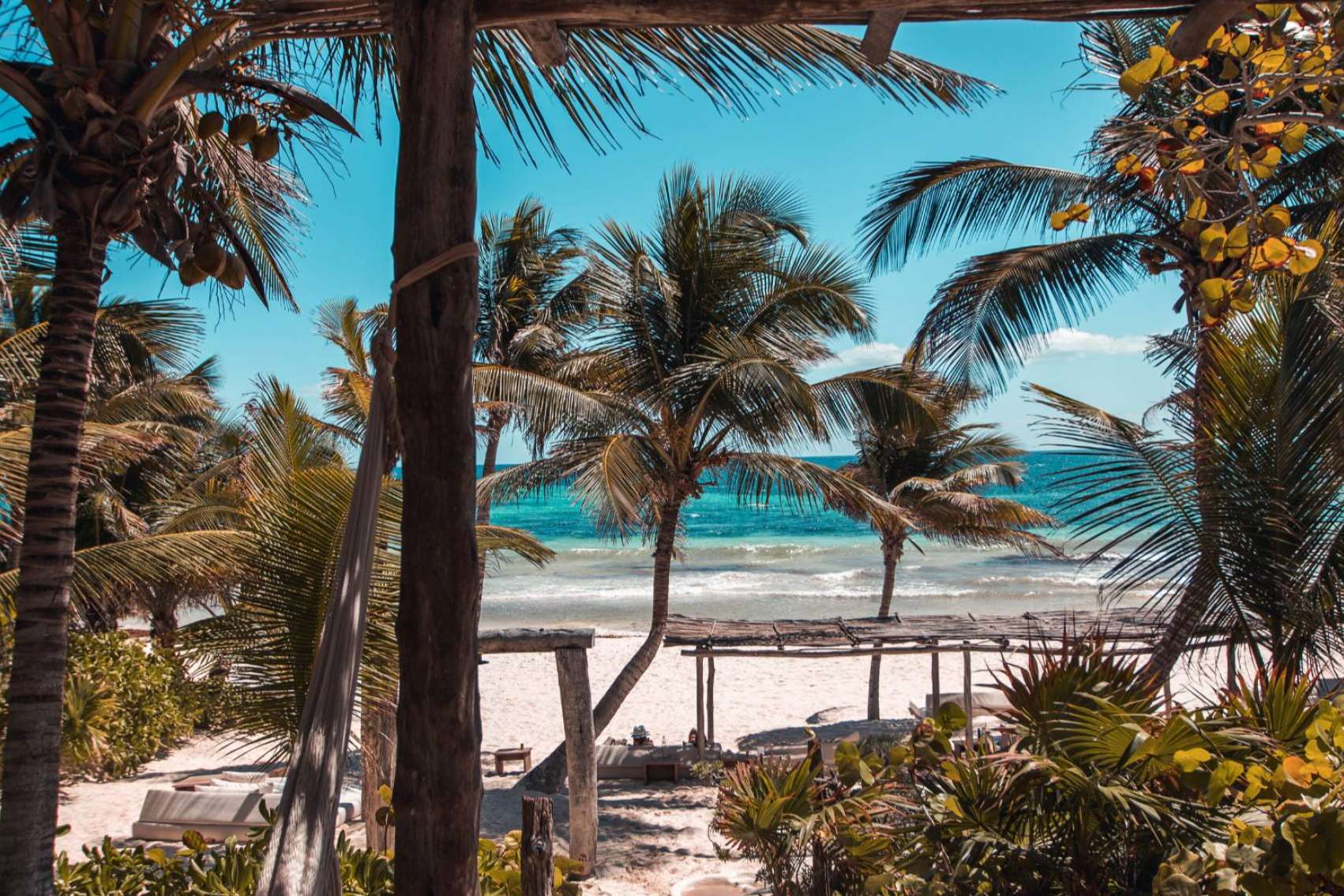 Gastronomía, Chill y Mesas VIP; Lo mejor de Tulum