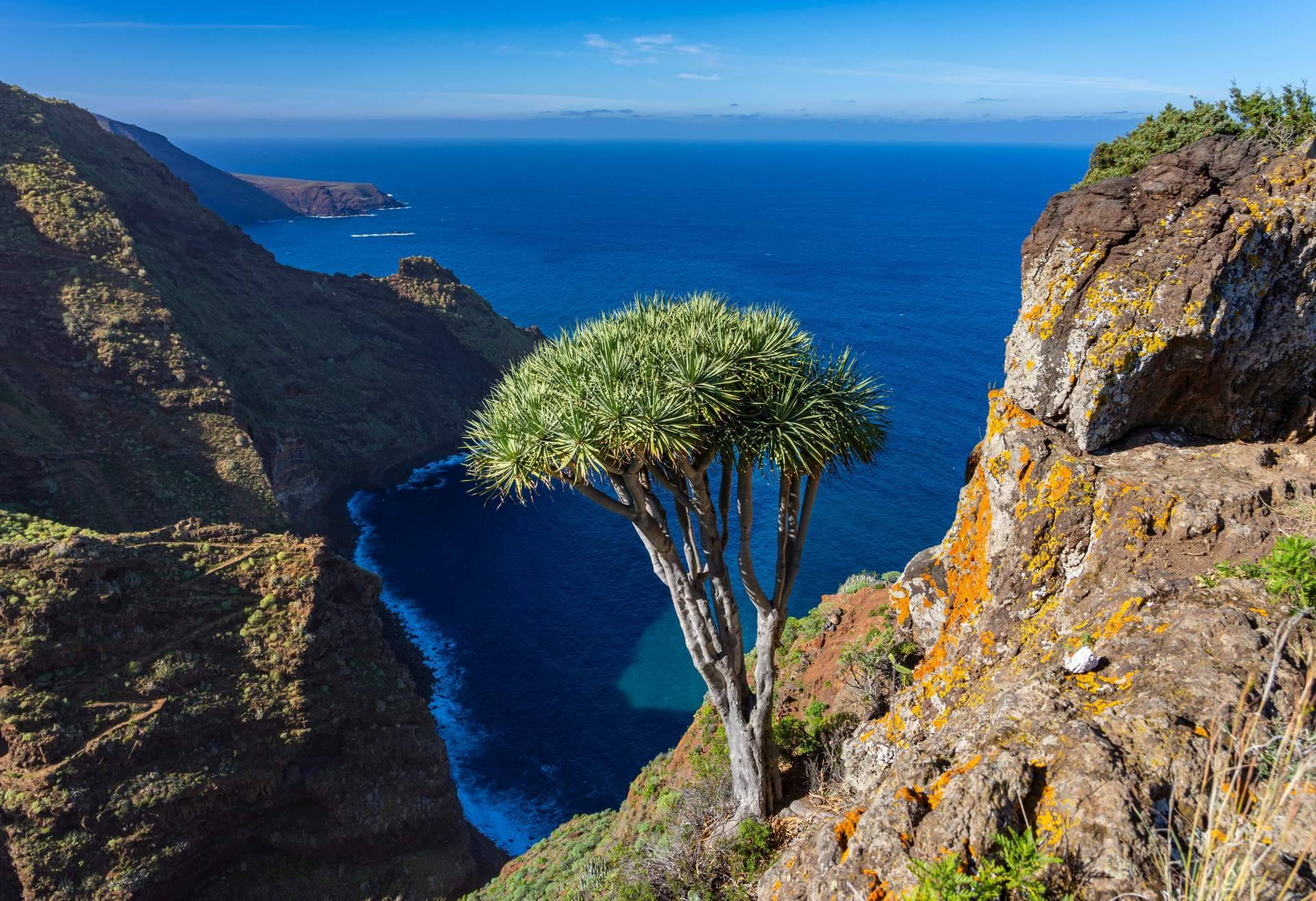 Mudarse a Canarias en Verano