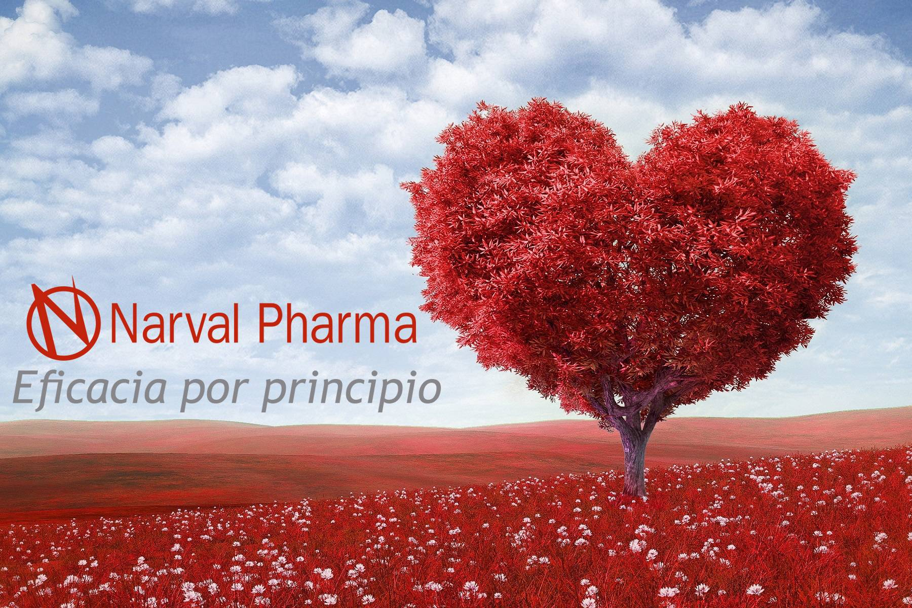 Narval Pharma refuerza su liderazgo ofreciendo nutracéuticos de calidad con certificación GMP y HACCP