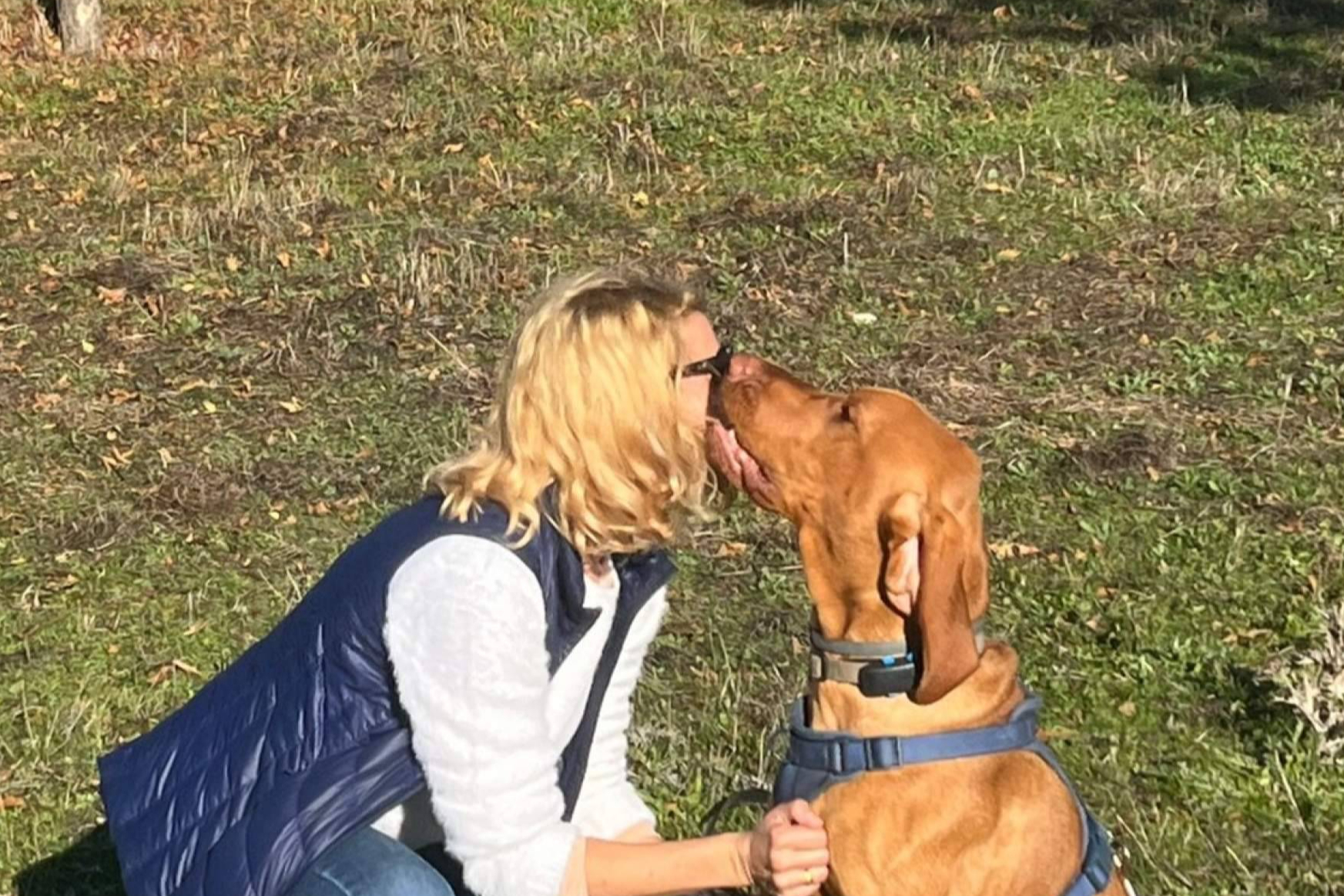 Pasear con el perro sin tirones; un objetivo posible