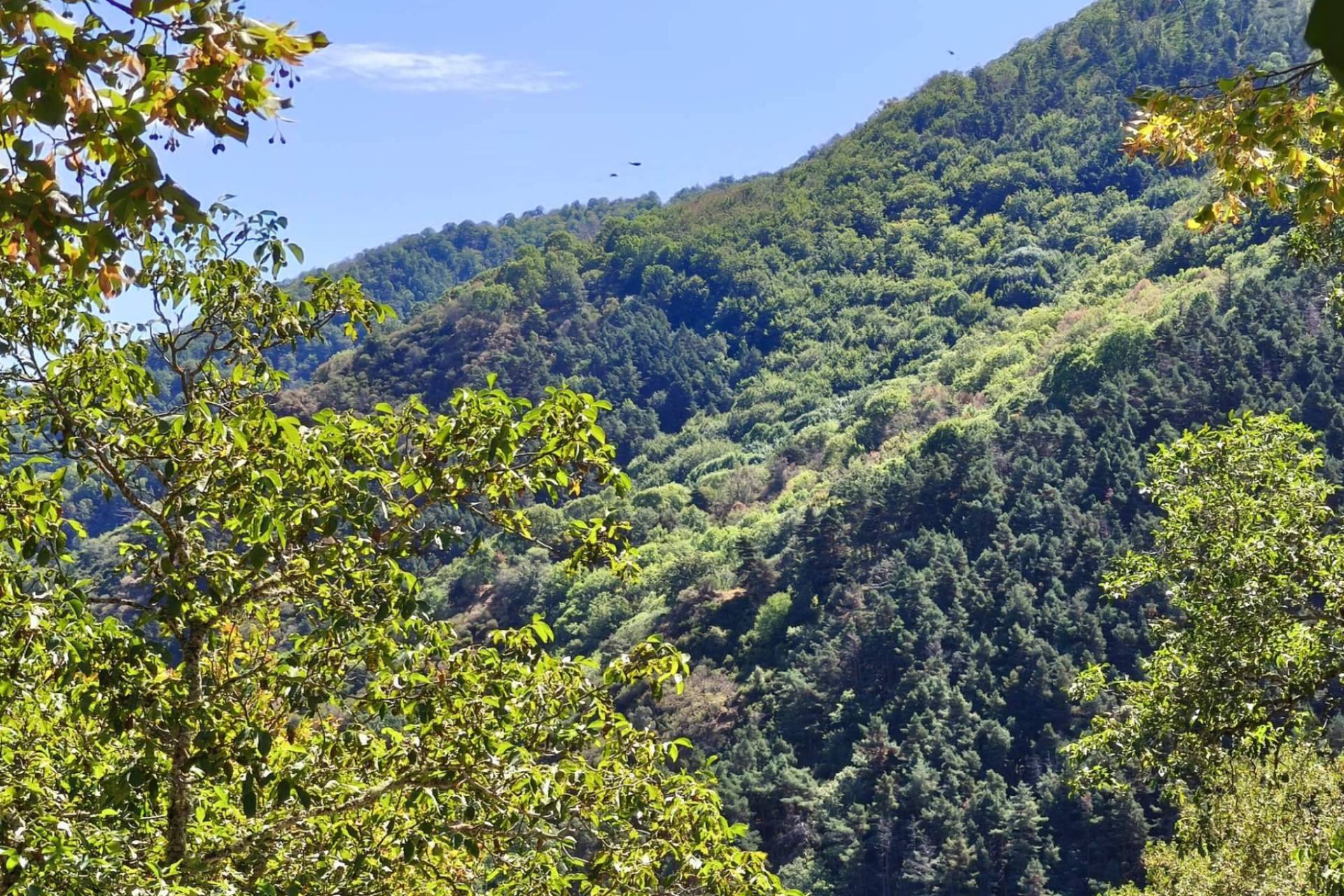 La naturaleza reclama su lugar en el turismo; estos son los premiados Tourism4Nature 2025 que lo demuestran