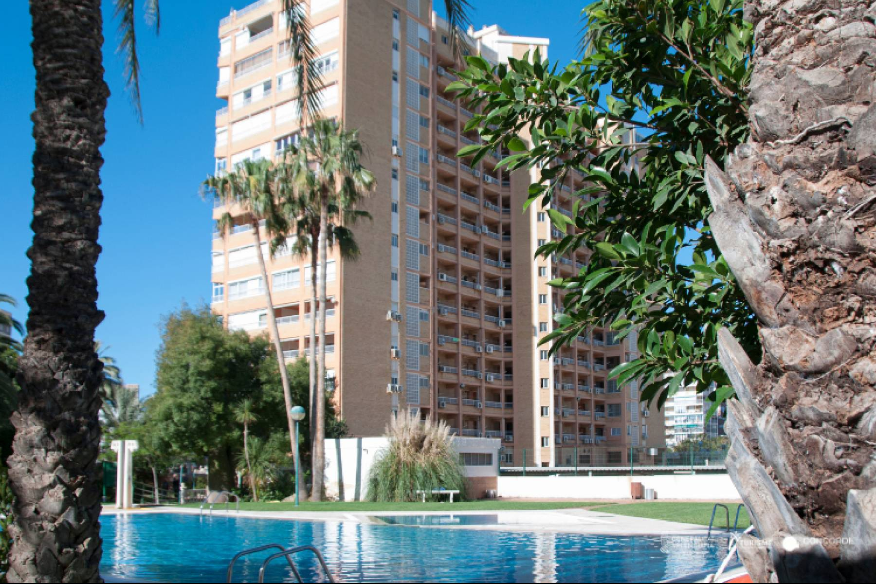 Apartamentos Concorde; 55 años de hospitalidad mediterránea en Playa de San Juan