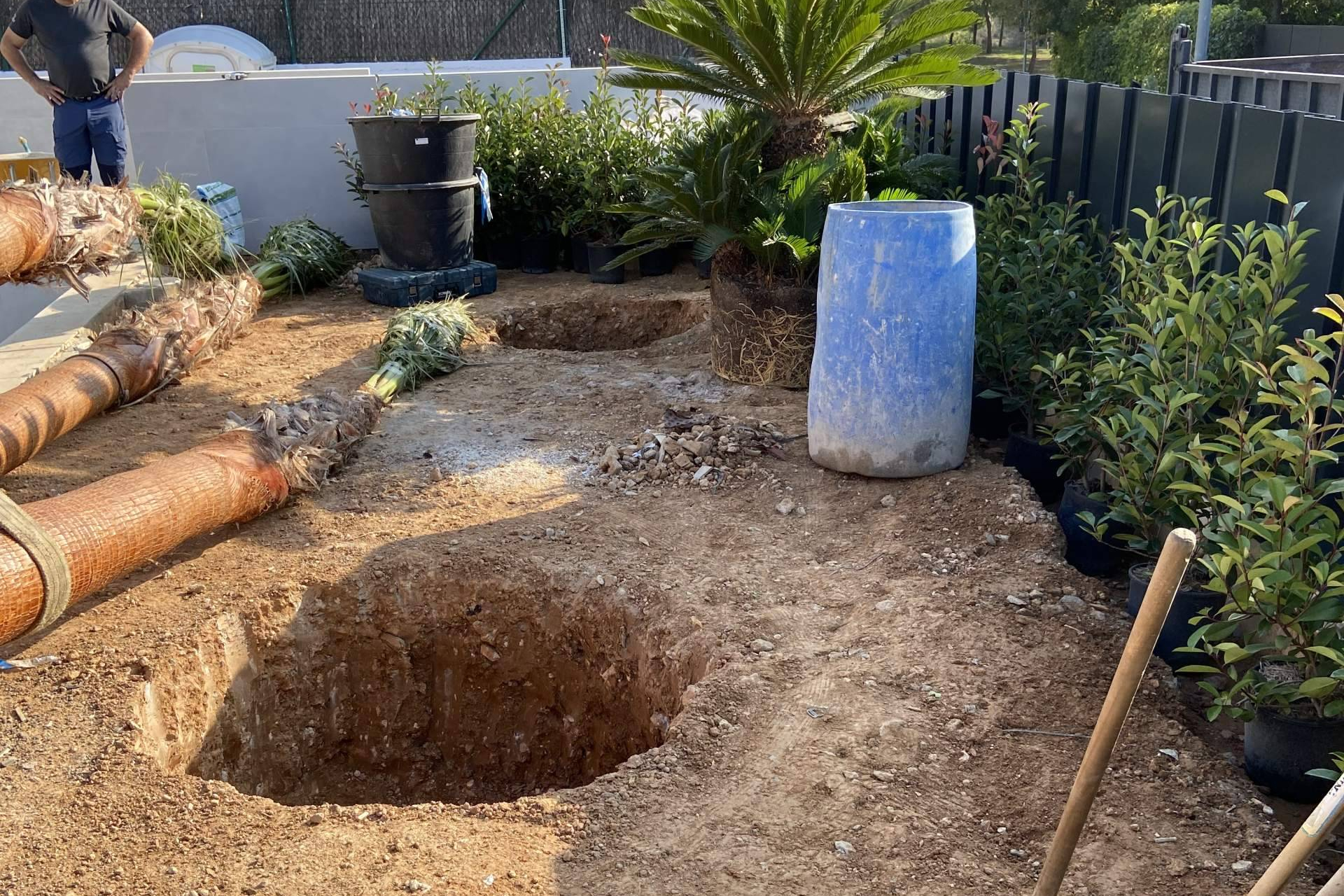 Cuando la naturaleza se diseña; la empresa de jardinería en Barcelona que está transformando espacios