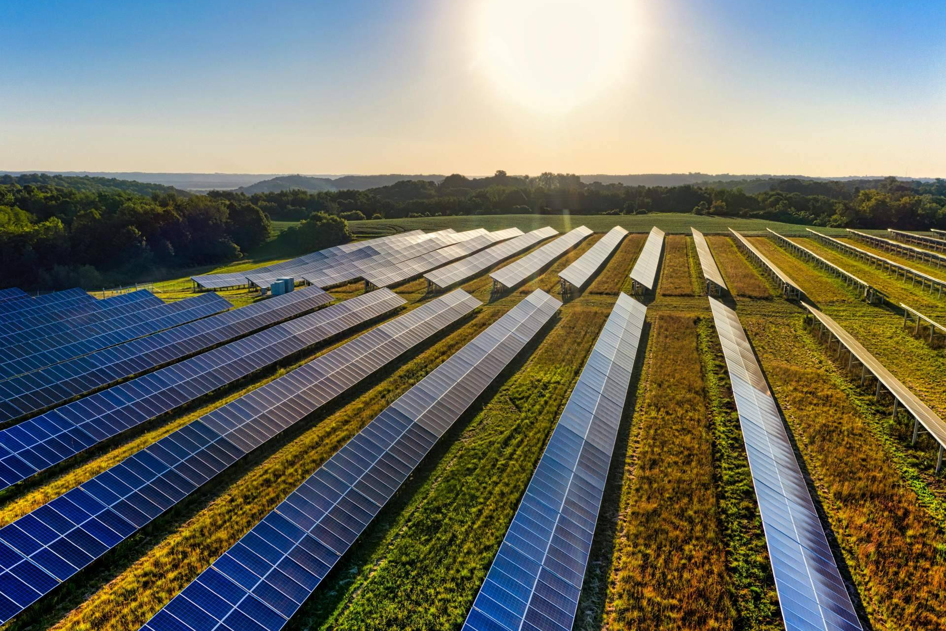 AleaSoft; Los precios de mercados europeos bajan mientras la fotovoltaica marca récord en España e Italia